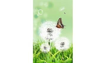 Dandelion Live Wallpapers for Android - Download the APK from Habererciyes